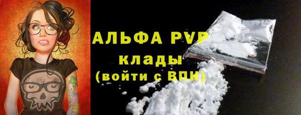 стафф Богородицк