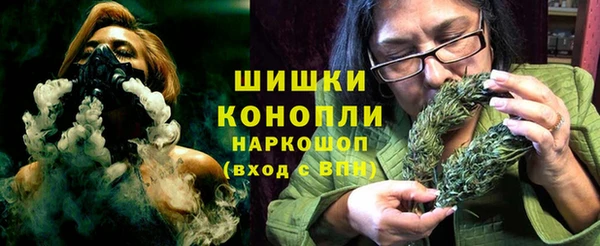 дживик Богданович