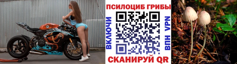 хочу наркоту  Кинешма  Псилоцибиновые грибы мицелий 