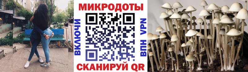 Псилоцибиновые грибы GOLDEN TEACHER Кинешма